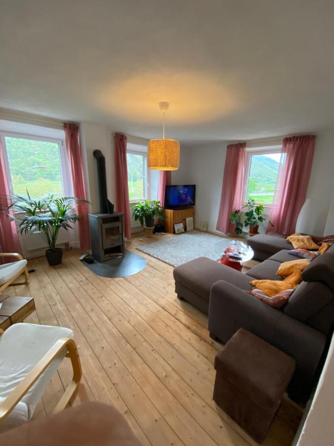 הוילה Müden Helles, Gemuetliches Haus Mit Moselblick מראה חיצוני תמונה