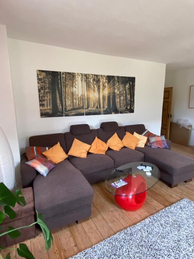 הוילה Müden Helles, Gemuetliches Haus Mit Moselblick מראה חיצוני תמונה